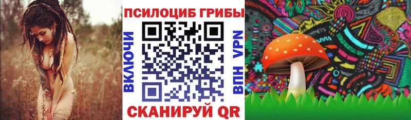 Псилоцибиновые грибы Psilocybine cubensis  где купить наркоту  Моршанск 
